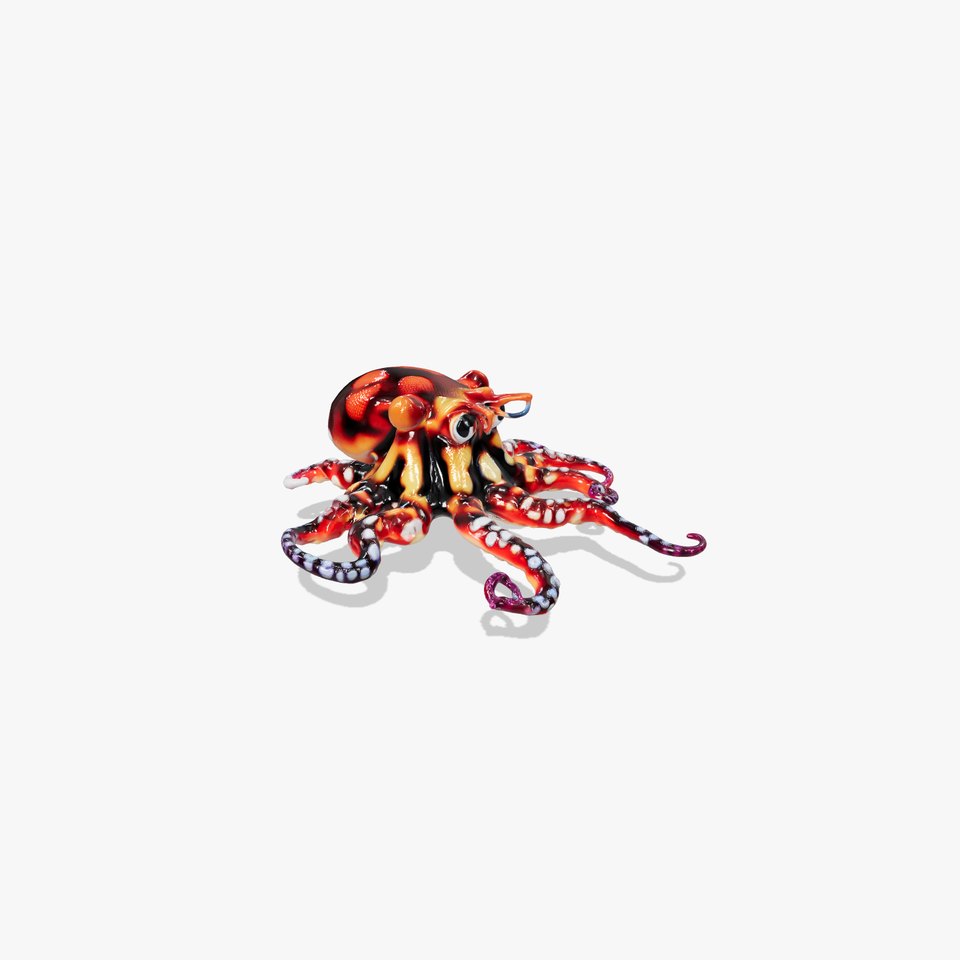 Blueringed Octopus Model Pack